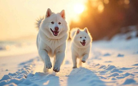 How Can Smart Tips Every Pet Parent Use Help Prevent Common Behavioral Problems?