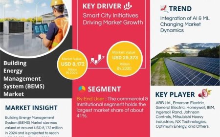 Building Energy Management System (BEMS) Market Size & Forecast 2025–2030: Trends and Growth Insights