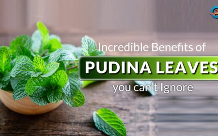 Mint Leaves: A Refreshing Herb with Powerful Benefits