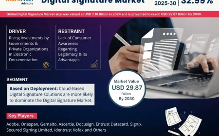 Digital Signature Market Size & Forecast 2025–2030: Trends and Growth Insights