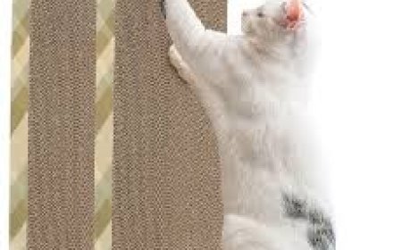 Why Every American Cat Owner Needs a Cat Scratching Mat Today