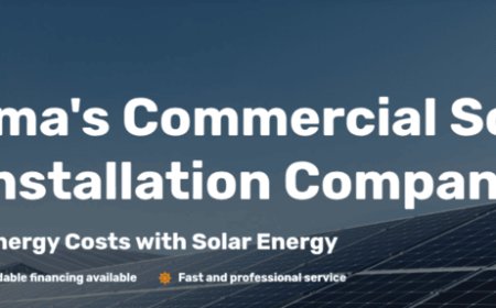The Power of Commercial Solar Panels: Why Businesses Should Go Solar in 2025