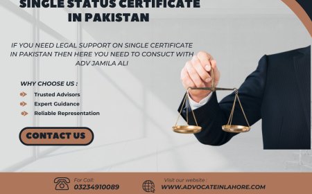 How to Get Single Status Certificate & Why is it Needed