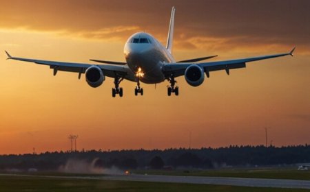 Turkish Airlines ZRH Terminal  +1–888–839–0502