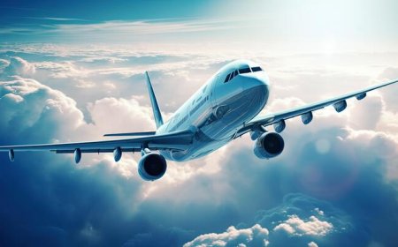 United Airlines CAE Terminal  +1–888–839–0502