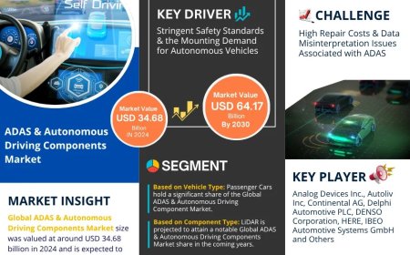 ADAS & Autonomous Driving Components Market Size & Forecast 2025–2030: Trends and Growth Insights