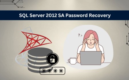 Understanding the Challenge of SQL Server 2012 SA Password Recovery