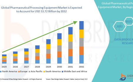 Pharmaceutical Processing Equipment Industry: Opportunities and Dynamics Period 2025 - 2032