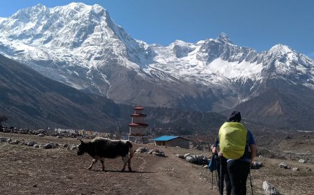 How to Rejuvenate After the Annapurna Circuit: Post-Trek Recovery