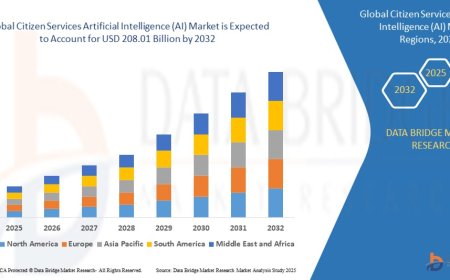 Citizen Services Artificial Intelligence (AI) Market: Forecast and Analysis 2025 - 2032
