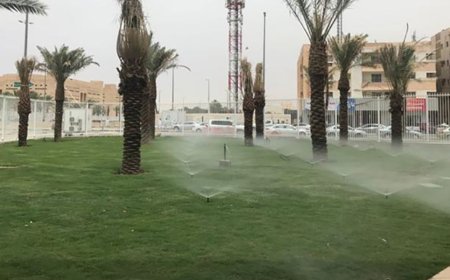 How to Choose the Best Landscape Company in Riyadh