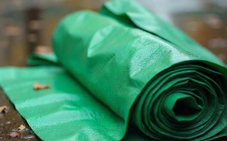 Top Uses for Military Canvas Tarps in Outdoor Adventures