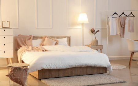 Expert Painter in Collierville – Transforming Homes with Precision & Style