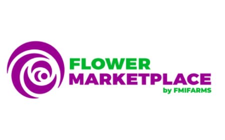 Warm Tones & Textures: Designing Floral Masterpieces with Peach, Orange & Neutral Hues