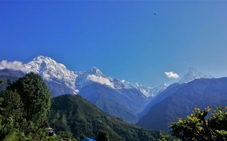 Ghorepani Ghandruk Trek: A Colorful Walk Through the Heart of Nepal