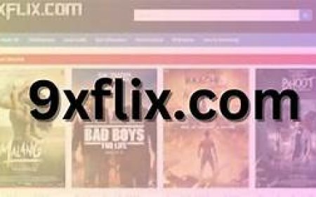 Why 9xflix com Is a Go-To Platform for Bollywood and Hollywood Fans?