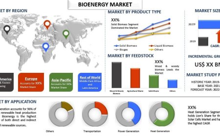 Bioenergy Market: Growth Trends, Size & Strategic Insights (2021-2027) | UnivDatos | UnivDatos