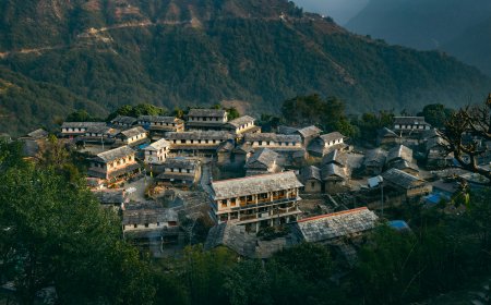 Ghorepani and Ghandruk Trek: A Scenic Himalayan Journey for Nature Lovers