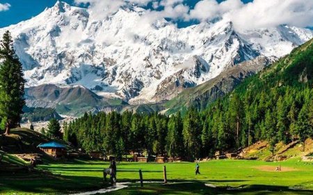 Explore Northern Pakistan: Best Tour Packages from Islamabad | Book Your Adventure Today