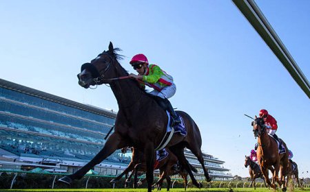 Best VicBet Guide: A Closer Look at One of Australia’s Trusted Betting Platforms