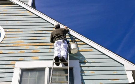 Everything You Need to Know About Paint Repairs: Revive Your Walls, Trim, and More