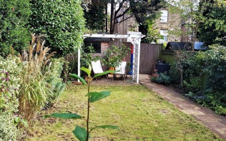 Why Hiring General Cleaning Services Is Essential for a Healthy and Productive Environment