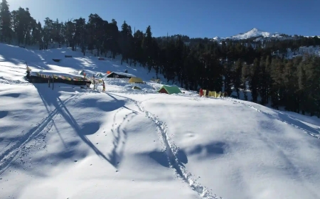 Kedarkantha Trek Guide (2025): Easy, Snowy & Unforgettable