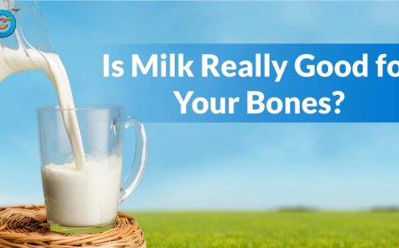 Is Milk Really Good for Your Bones?