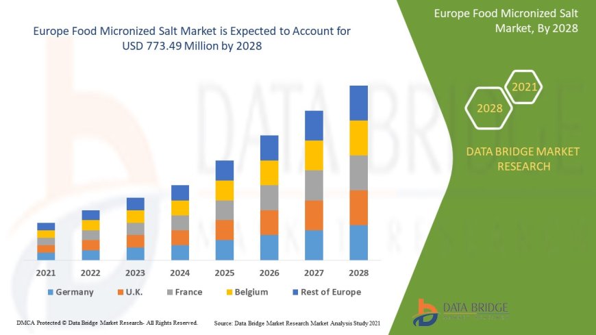 Europe Food Micronized Salt Business Outlook: Forecast and Developments to 2025 - 2032