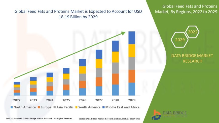 Feed Fats and Proteins Business Outlook: Forecast and Opportunities to 2025 - 2032