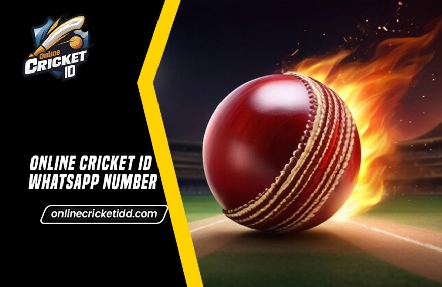 Online Cricket ID WhatsApp Number In Minutes – Reach Us On WhatsApp