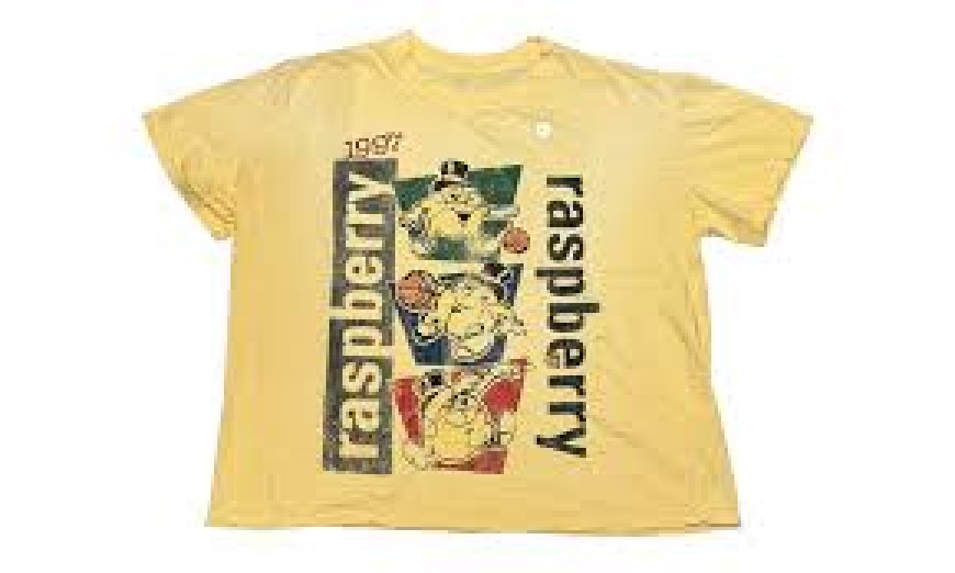 Raspberry Hills Hoodie: The Bold Choice for Effortless Cool