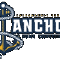 anchorhomeinspection